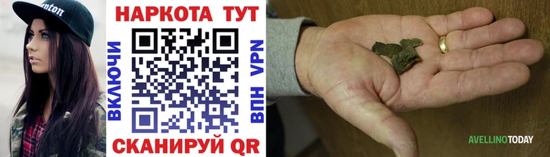 МЕФ Кингисепп