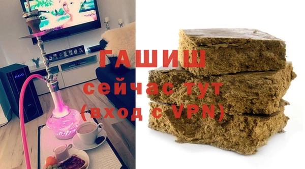 гидра Богданович