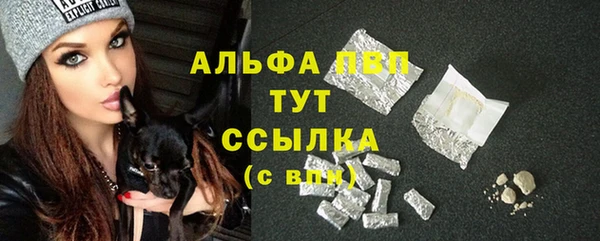 гидра Богданович