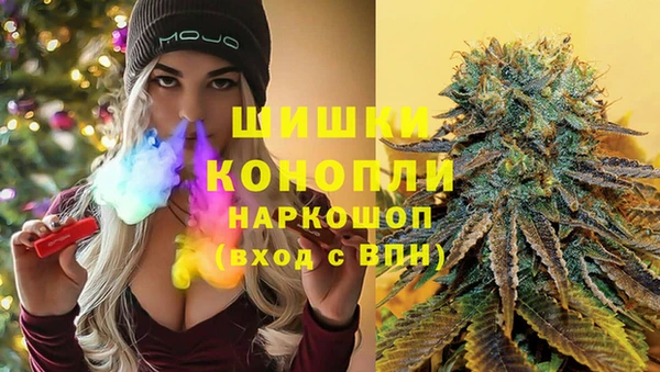 гидра Богданович
