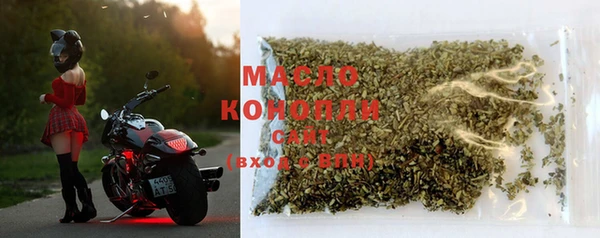 гидра Богданович
