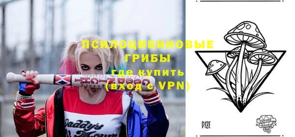 мяу мяу мука Белокуриха