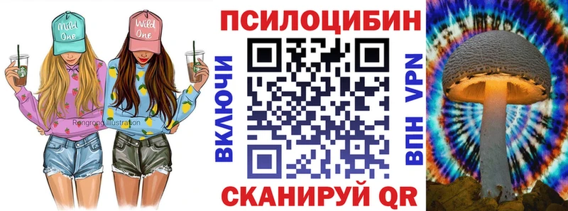 дарк нет наркотические препараты  Кингисепп  Псилоцибиновые грибы мицелий 